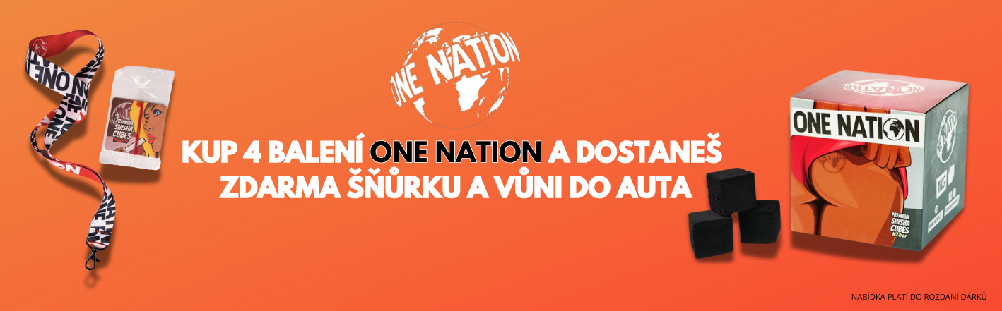 ONE NATION